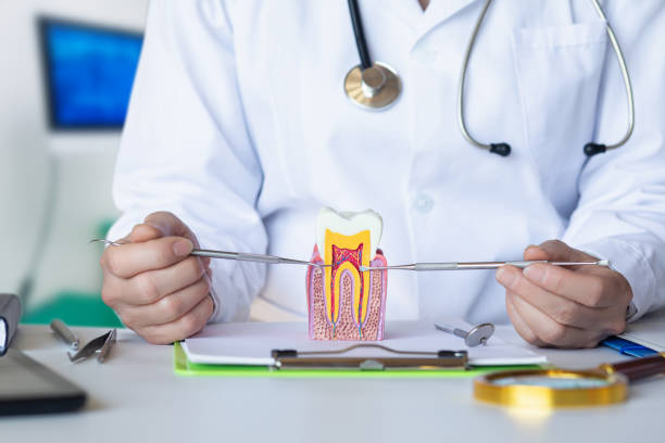 Best Dentist for Tooth Abscess  in Boise, ID